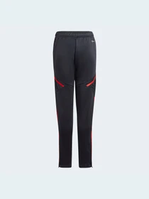 Штани Adidas Condivo модель HB0618 Фото