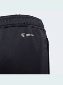 Штани Adidas Condivo модель HB0618 Фото