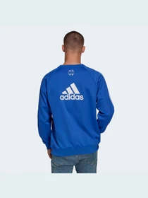 Худи и свитшоты Adidas модель H67145 Фото