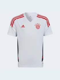 Футболки и поло Adidas модель HB0623 Фото