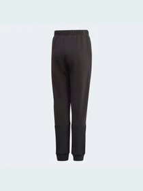 Брюки Adidas модель GJ6625 Фото