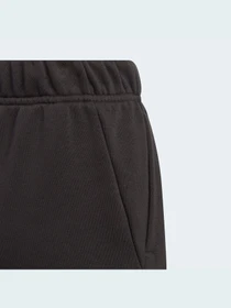 Брюки Adidas модель GJ6625 Фото
