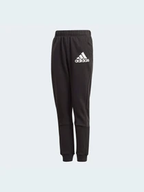 Брюки Adidas модель GJ6625 Фото