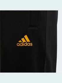 Брюки Adidas модель H59776 Фото