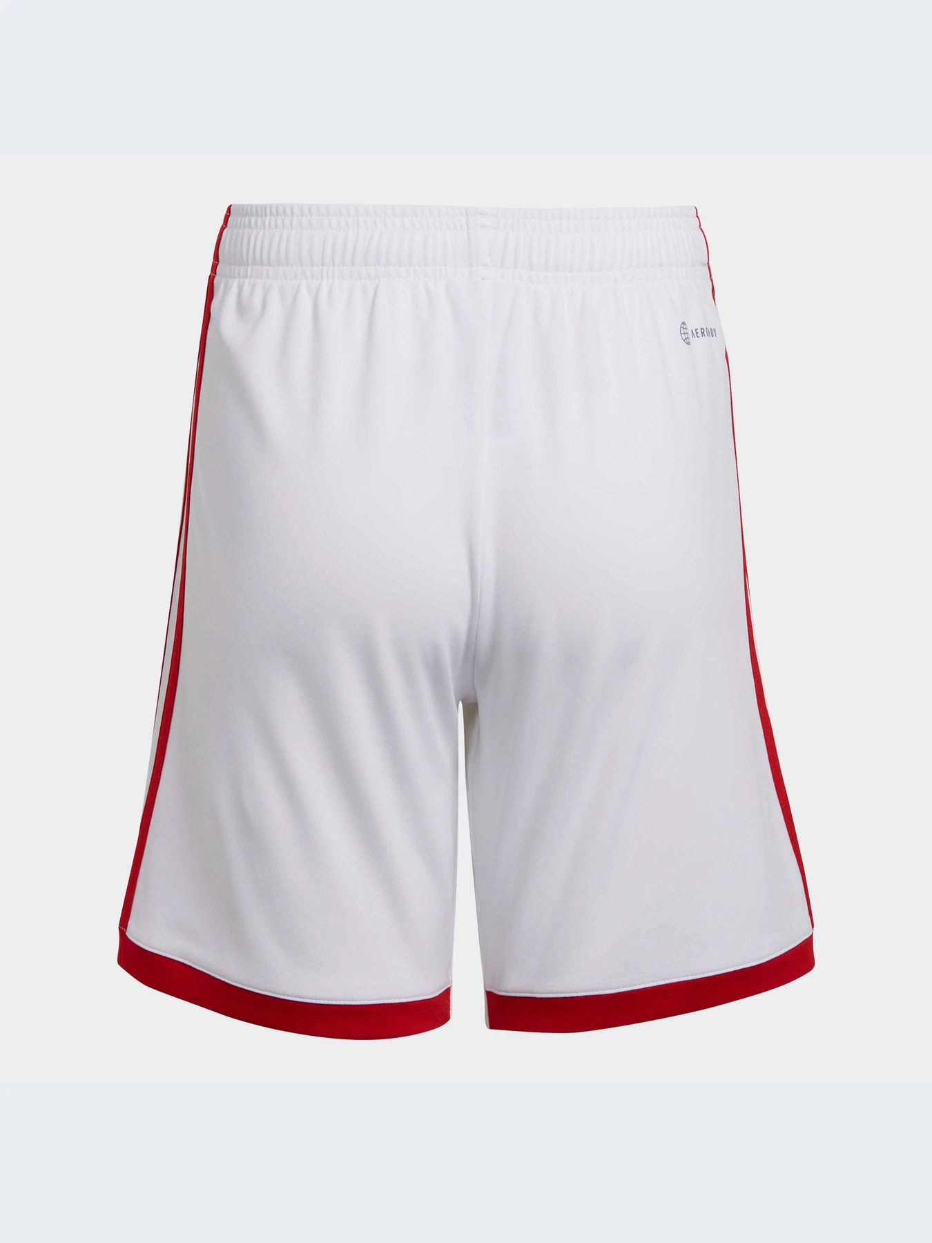 Шорты Adidas модель HA5331 Фото
