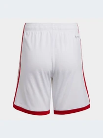 Шорты Adidas модель HA5331 Фото