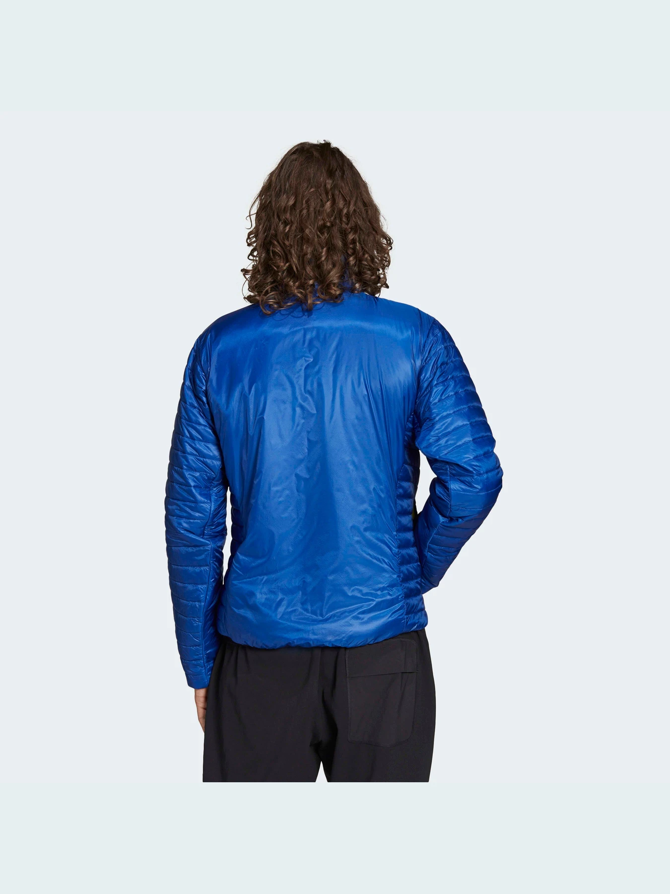 Куртки и дубленки Adidas модель H28199 Фото