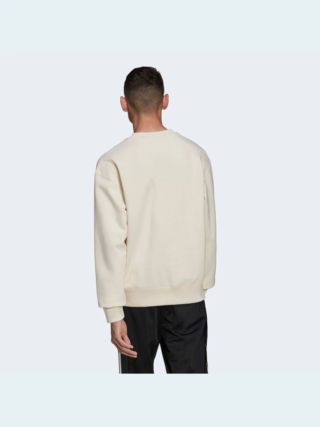 Худи и свитшоты Adidas Adicolor модель HD2751 Худи и свитшоты Adidas Adicolor модель HD2751 Фото