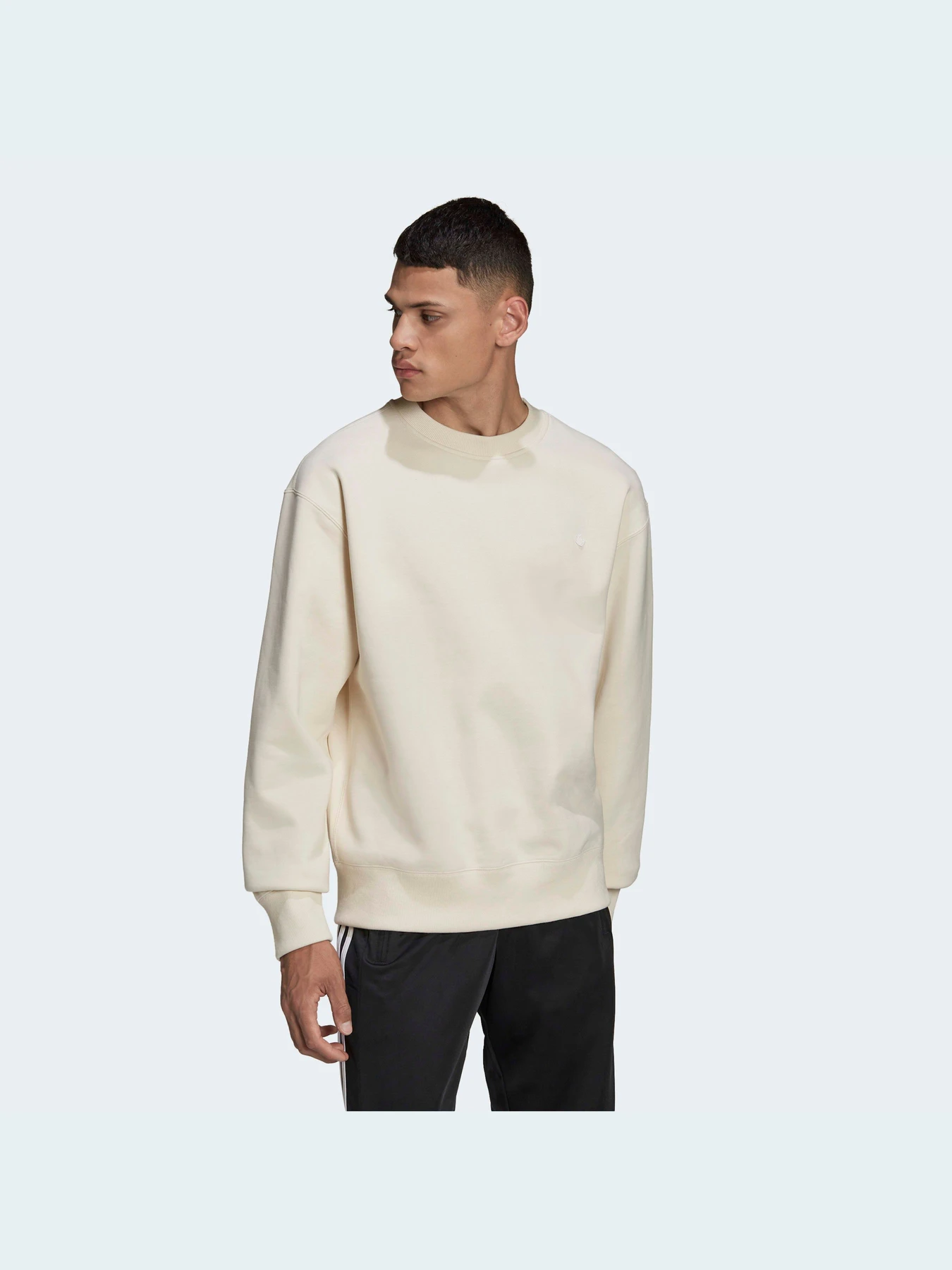 Худи и свитшоты Adidas Adicolor модель HD2751 Худи и свитшоты Adidas Adicolor модель HD2751 Фото