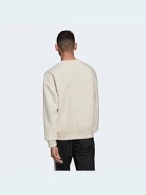 Худи и свитшоты Adidas Adicolor модель HD2751 Фото