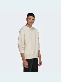 Худи и свитшоты Adidas Adicolor модель HD2751 Фото
