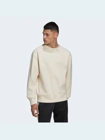 Худи и свитшоты Adidas Adicolor модель HD2751 Фото