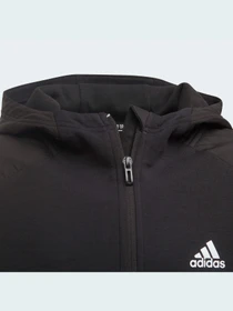 Худи и свитшоты Adidas модель HD1805 Фото
