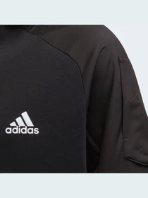 Худи и свитшоты Adidas модель HD1805 Фото