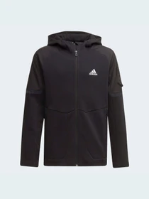 Худи и свитшоты Adidas модель HD1805 Фото