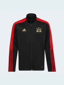 Худи и свитшоты Adidas модель HI3781 Фото