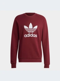Худі та світшоти Adidas Adicolor модель IA4856 Фото