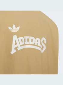 Худи и свитшоты Adidas Graphics модель HC4525 Фото