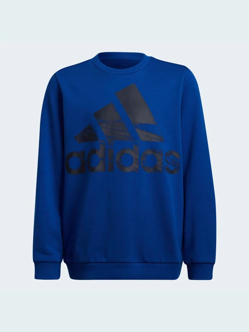 Худи и свитшоты Adidas модель HF1824 Фото