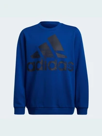 Худі та світшоти Adidas модель HF1824 Фото