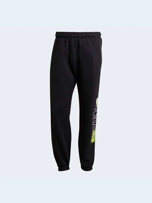 Штани Adidas Graphics модель HD7389 Фото