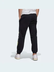 Брюки Adidas Graphics модель HD7389 Фото
