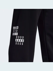 Брюки Adidas Graphics модель HD7389 Фото