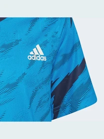 Футболки і поло Adidas Graphics модель HB6876 Фото
