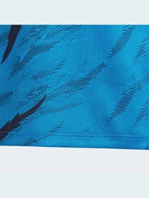 Футболки і поло Adidas Graphics модель HB6876 Фото