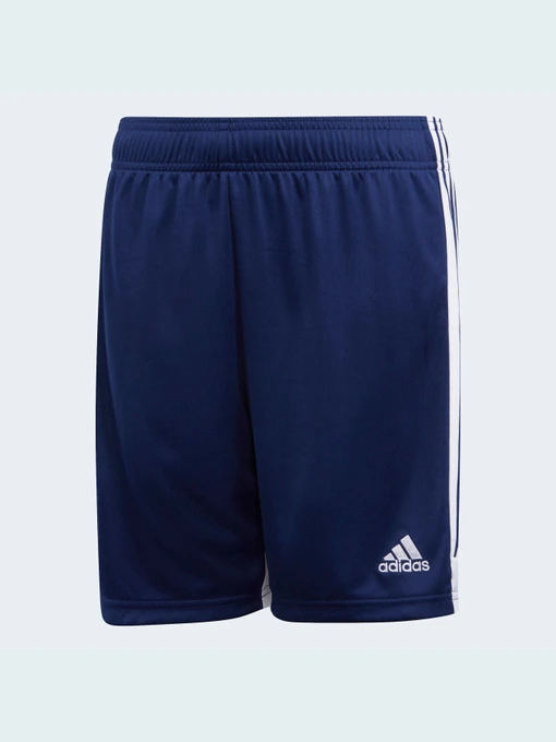 Шорты Adidas модель DP3172 Фото