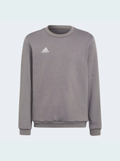 Худі та світшоти Adidas модель H57477 Фото