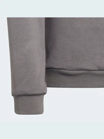 Худі та світшоти Adidas модель H57477 Фото