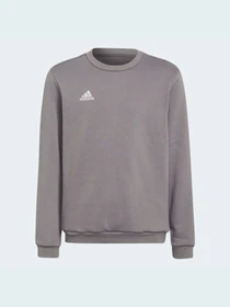 Худі та світшоти Adidas модель H57477 Фото