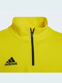 Худи и свитшоты Adidas модель HI2133 Фото