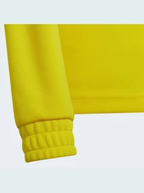 Худи и свитшоты Adidas модель HI2133 Фото