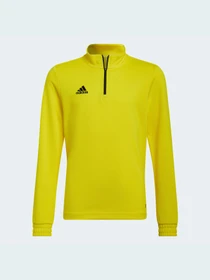 Худи и свитшоты Adidas модель HI2133 Фото