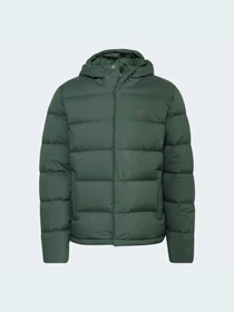 Куртки та дублянки Adidas модель HG8749 Фото