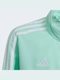 Худі та світшоти Adidas Condivo модель HD4731 Фото