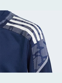 Худи и свитшоты Adidas Condivo модель GH7152 Фото