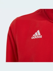 Худи и свитшоты Adidas модель H57540 Фото