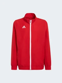 Худи и свитшоты Adidas модель H57540 Фото