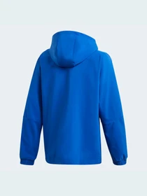 Куртки та дублянки Adidas Tiro модель GP4978 Фото