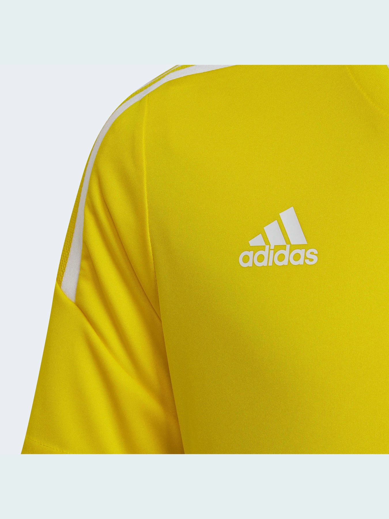 Футболки и поло Adidas Condivo модель HD2321 Фото