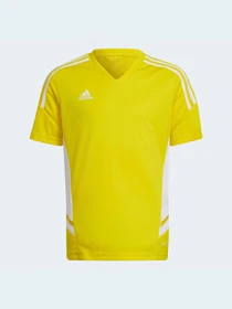 Футболки и поло Adidas Condivo модель HD2321 Фото