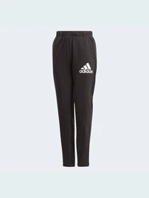 Брюки Adidas модель GJ6669 Фото