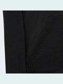 Худи и свитшоты Adidas модель HN8411 Фото