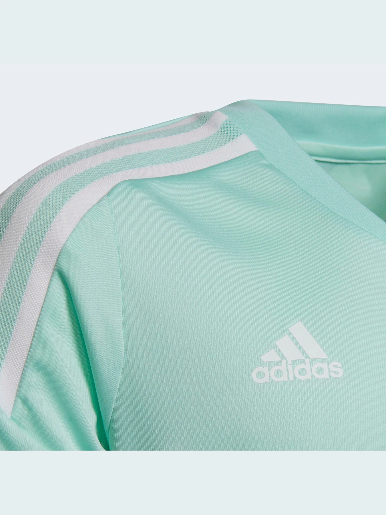 Футболки и поло Adidas Condivo модель HD4719 Фото