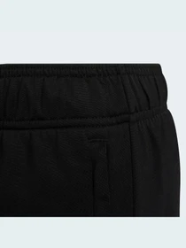 Брюки Adidas Adicolor модель HB9468 Фото