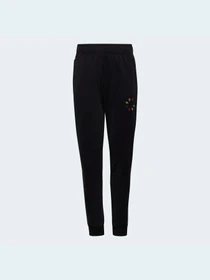 Брюки Adidas Adicolor модель HB9468 Фото
