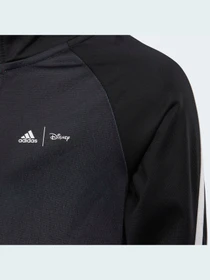 Худи и свитшоты Adidas x Disney модель HA6575 Фото